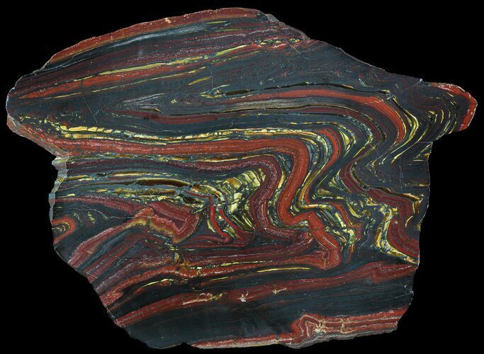 Polished Tiger Iron Stromatolite - ( Billion Years) #63997